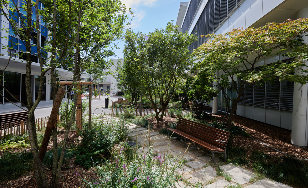 Projet PAV Pointe Nord